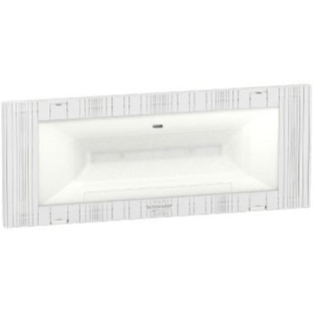 EXIWAY EASYLED IP65 24-36W...